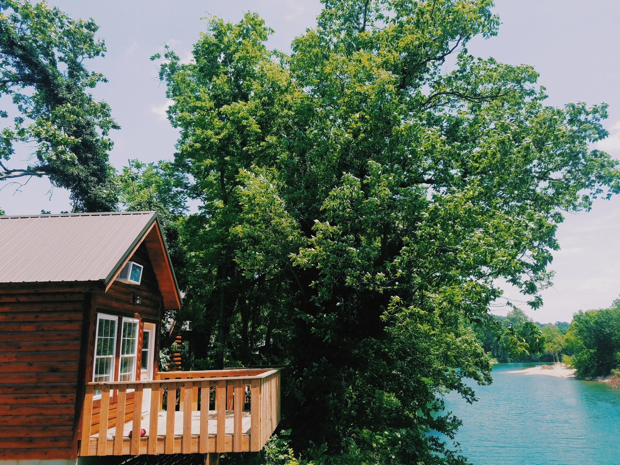 a tree in front of a house