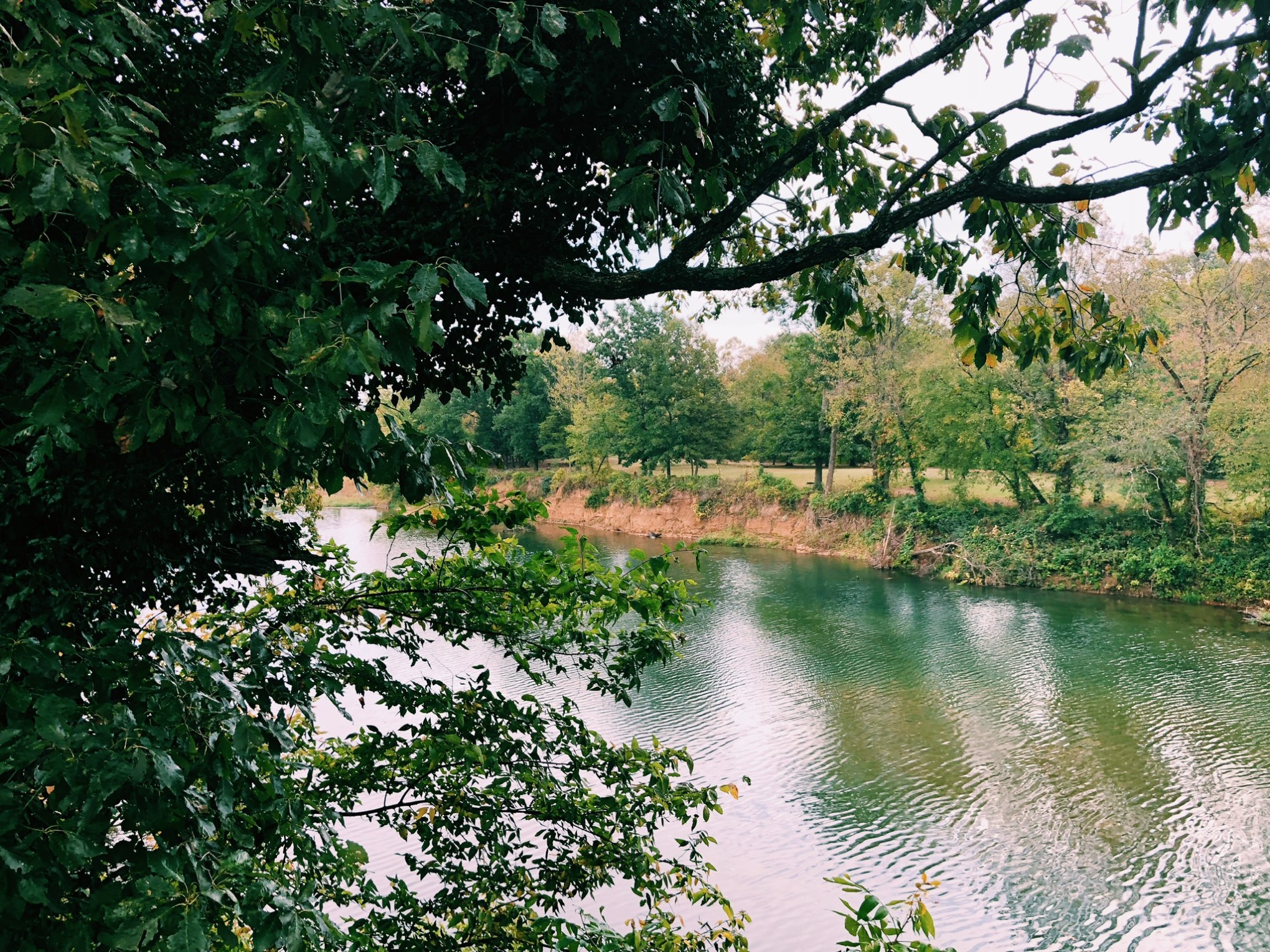 a body of water surrounded by trees