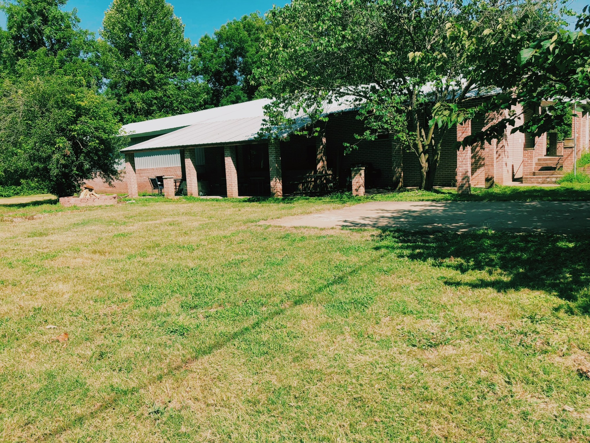a tree in a grassy yard