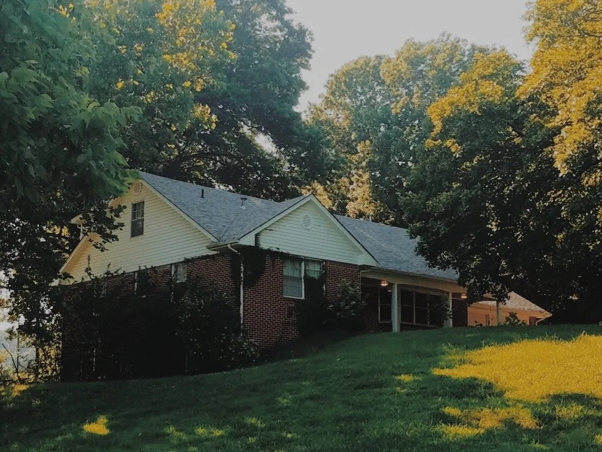 a large green field with trees in the background