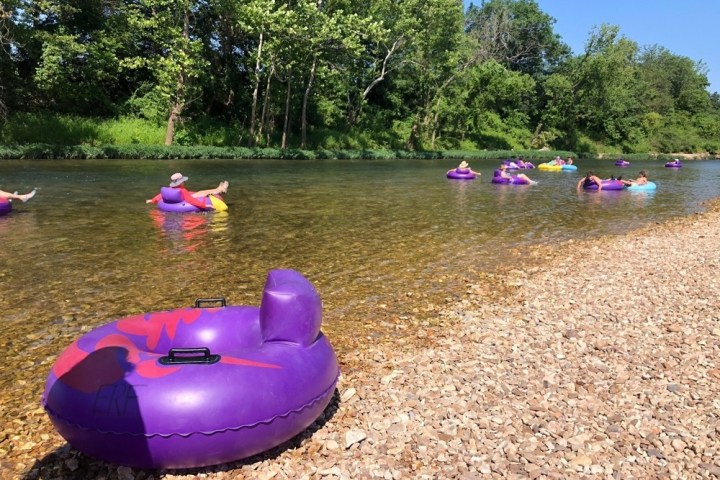 a group of pink and yellow boat in the water